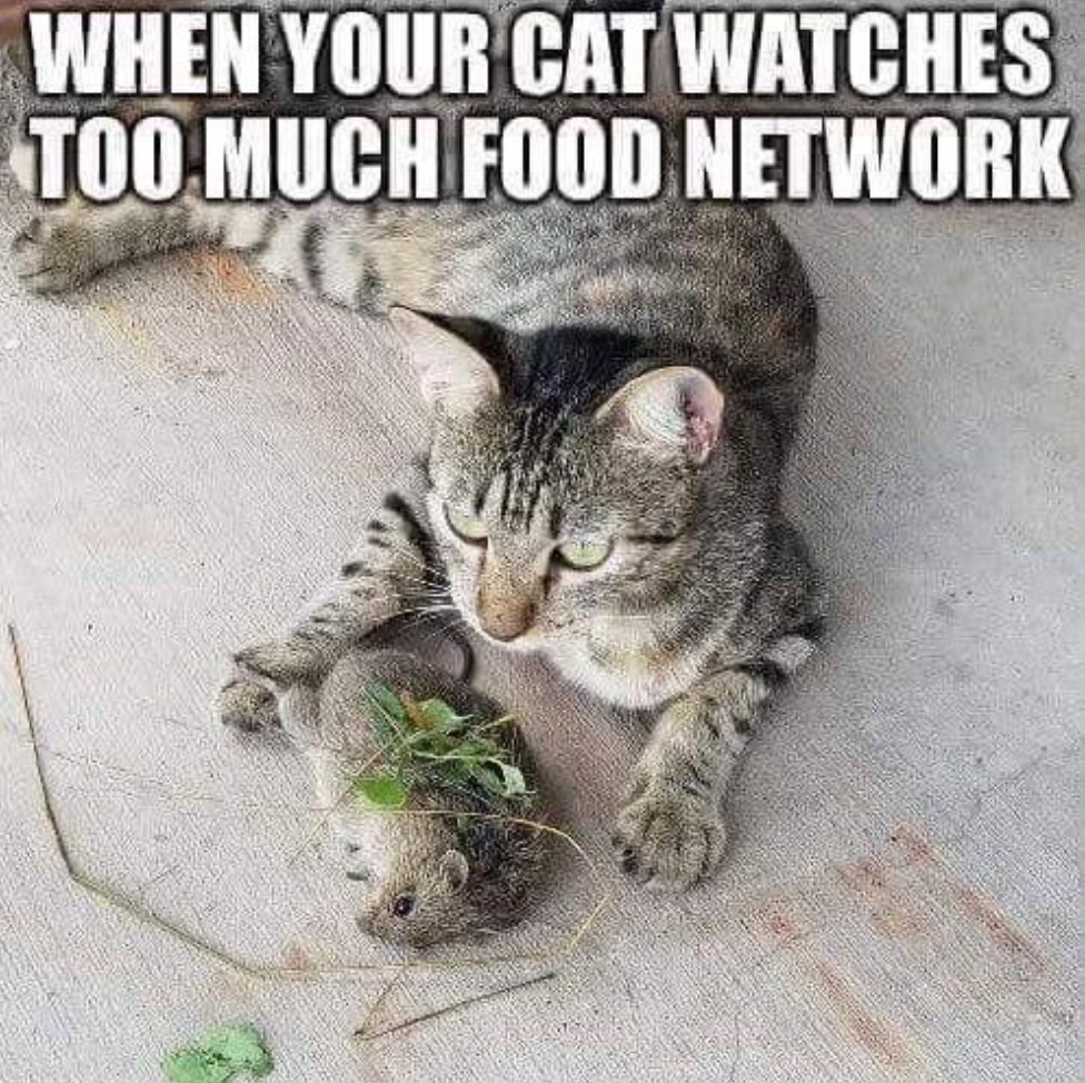 1643916894810.png