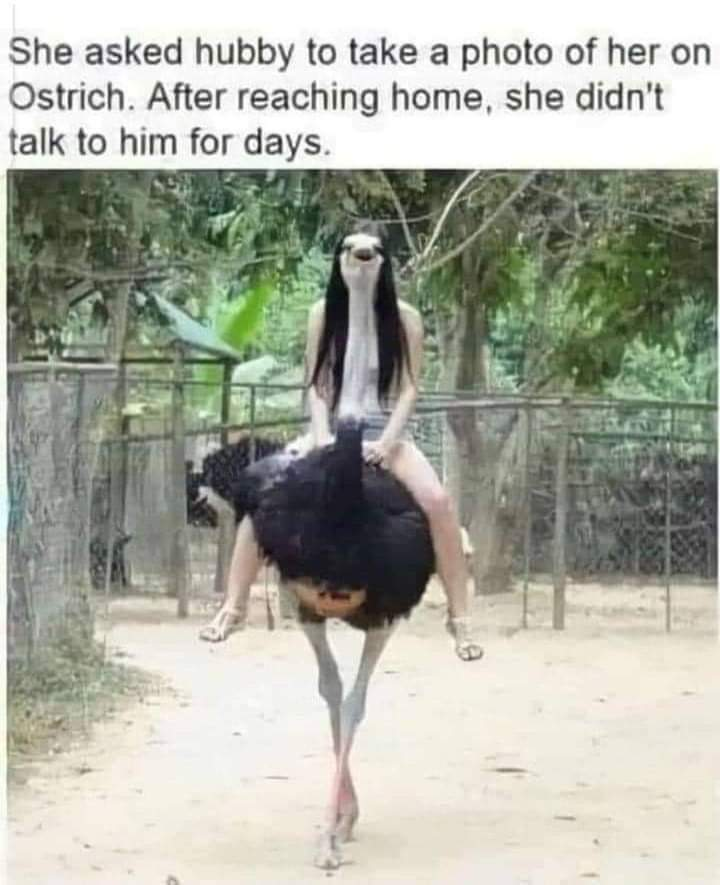 1645123510776.png