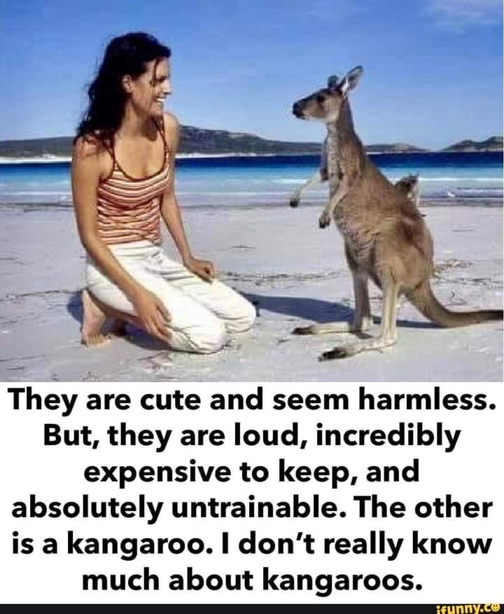 1645142481652.png