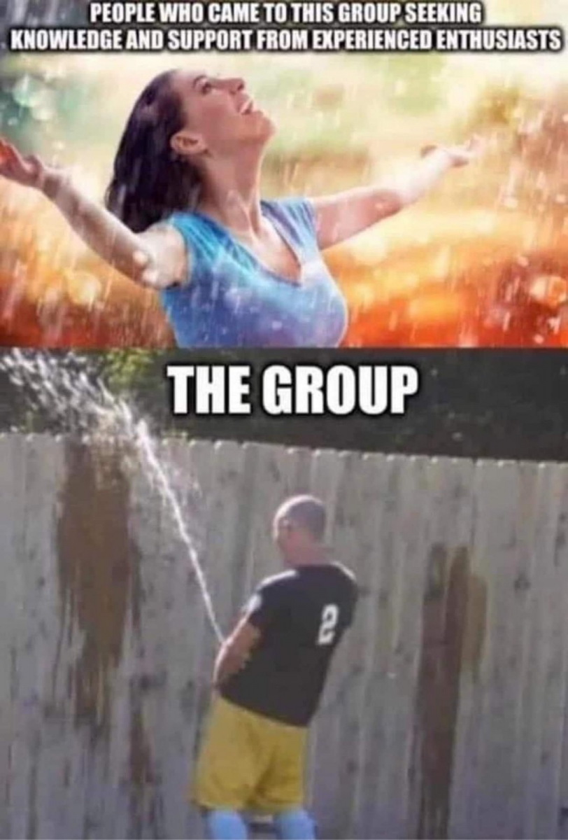 1646236817330.png