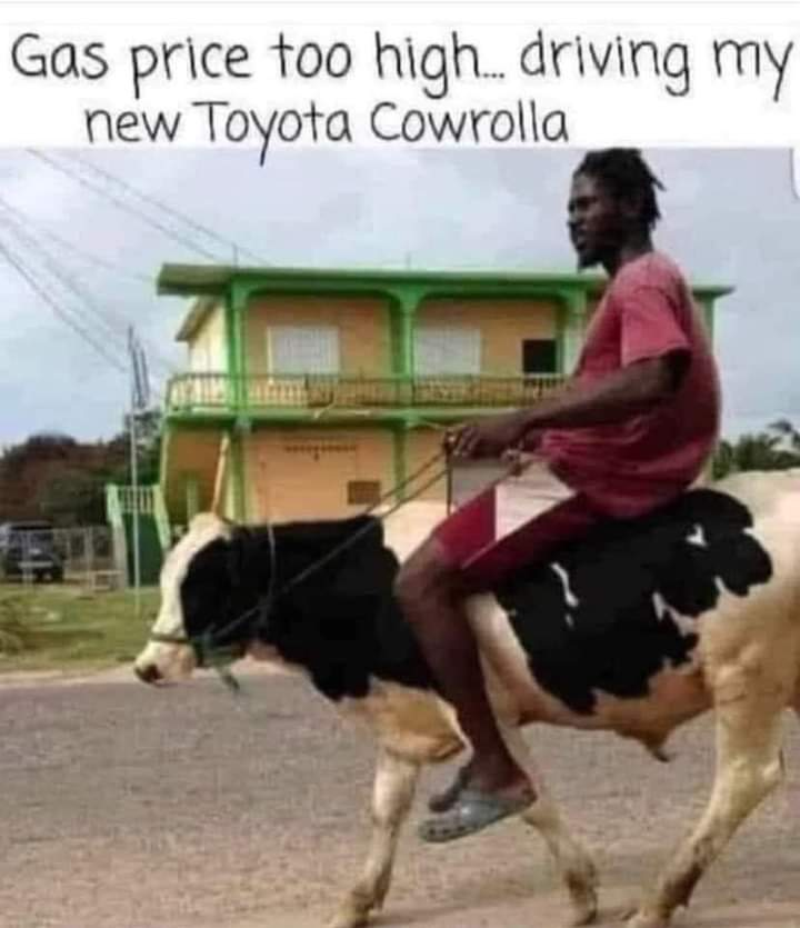 1646237244101.png
