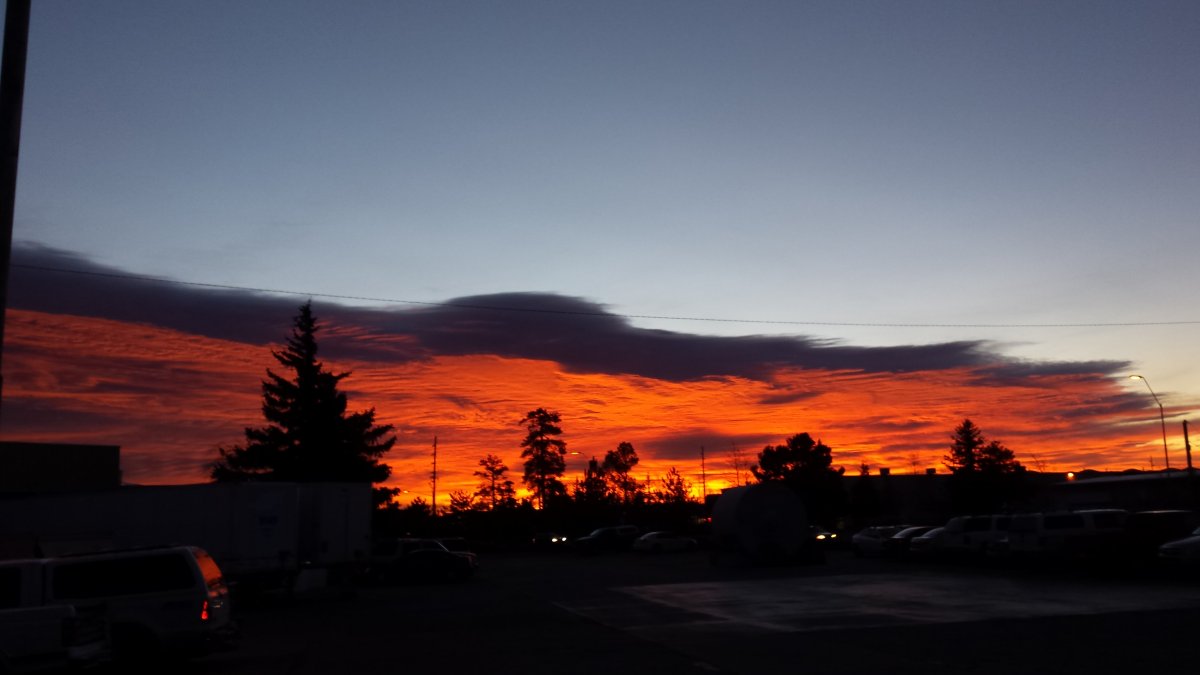 20161215_071125.jpg