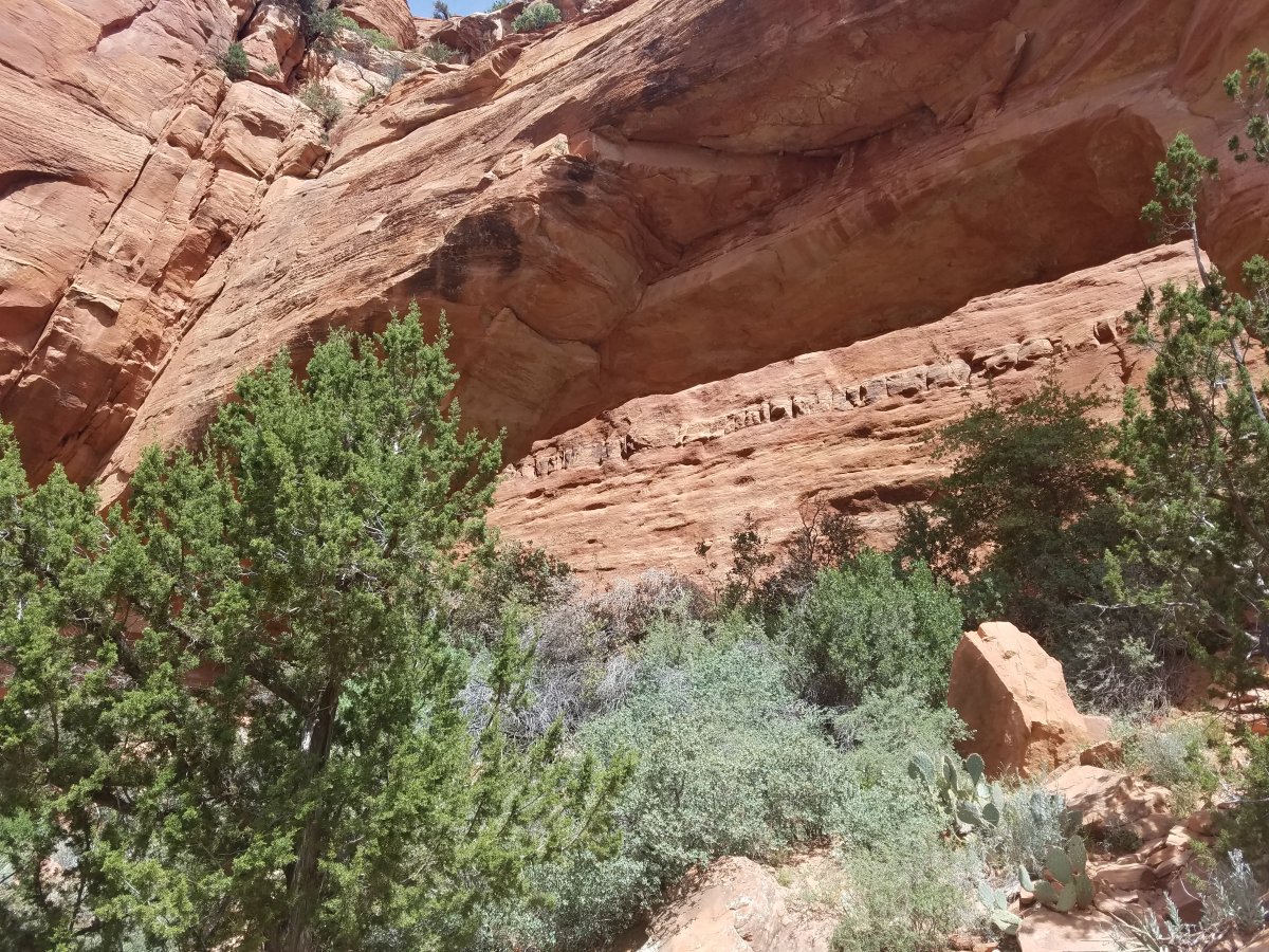 20170416_113150.jpg