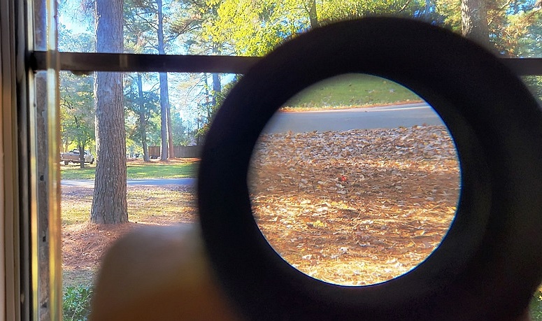 ACOG Caps04.jpg