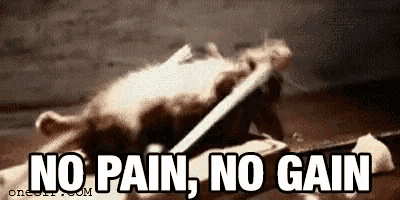 ae-c24c-40aa-b55f-92a5ed34dec2_262798700368509-gif.gif
