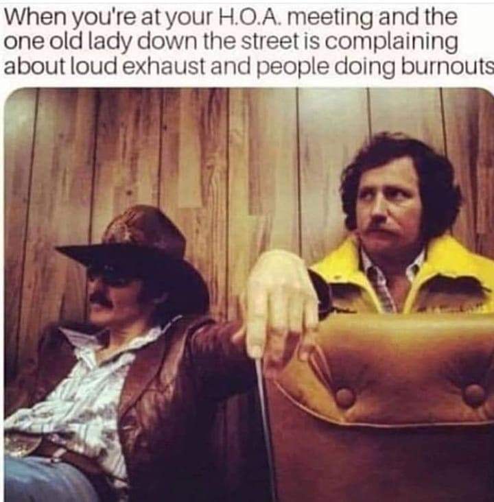 bandit.jpeg