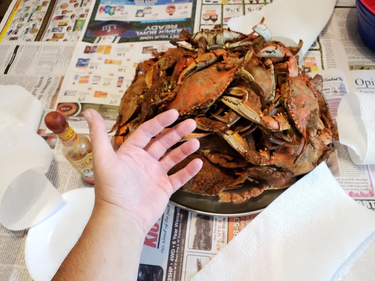 BlueCrabs.jpg