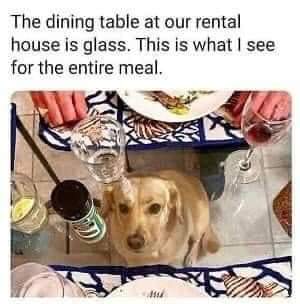 FB_IMG_1642270736727.jpg