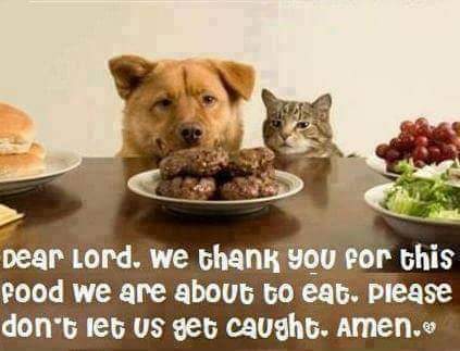 FB_IMG_1646164003143.jpg