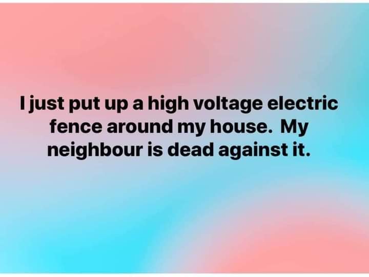 FB_IMG_1646267829632.jpg