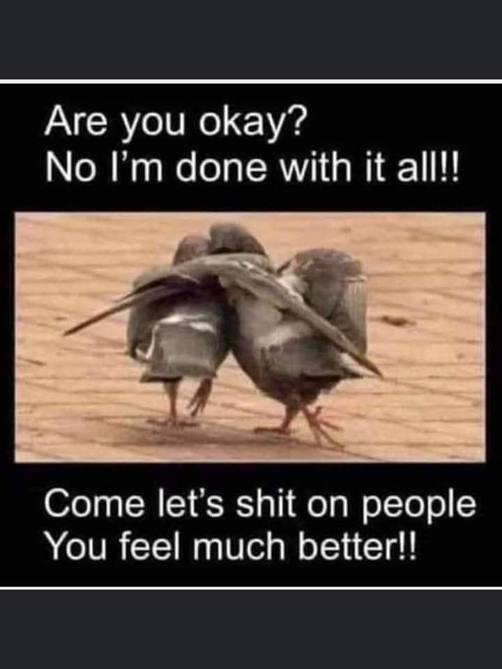 FB_IMG_1646270737873.jpg