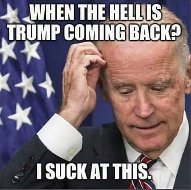 FB_IMG_1646570035359.jpg