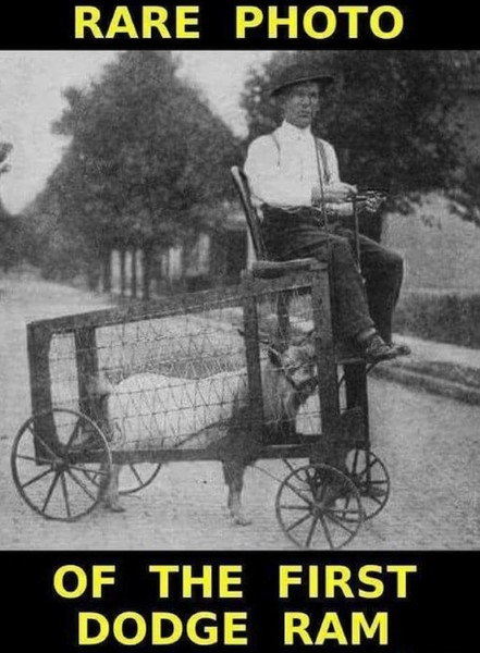 first dodge ram.jpg