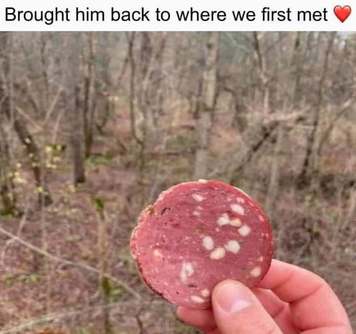 qhwyi6m-jpg.jpg