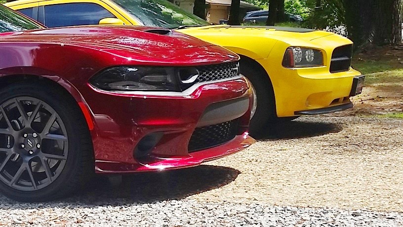 ScatPack-24May2019_06.jpg