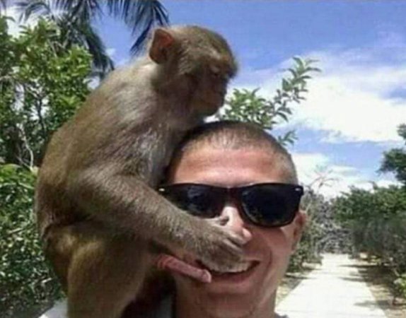 Monkey on your back.jpg