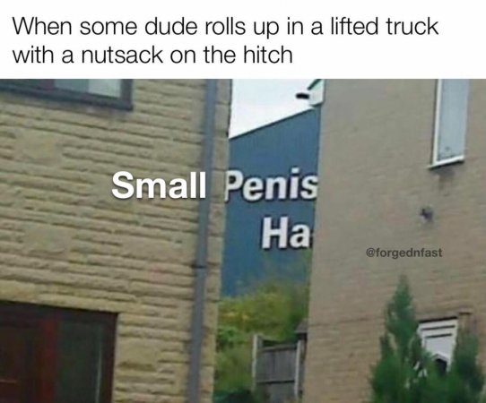 Nut sack on truck.jpg