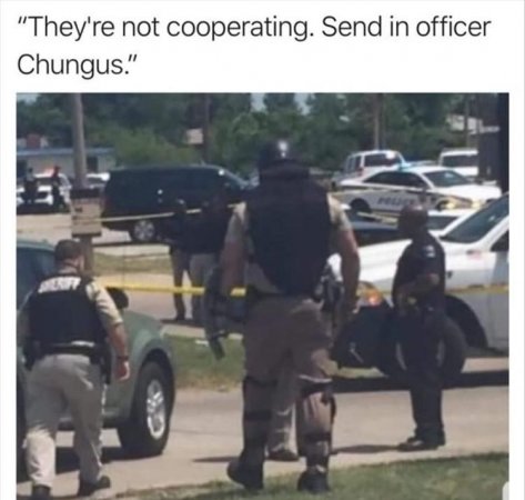 Send in the big cop..jpg